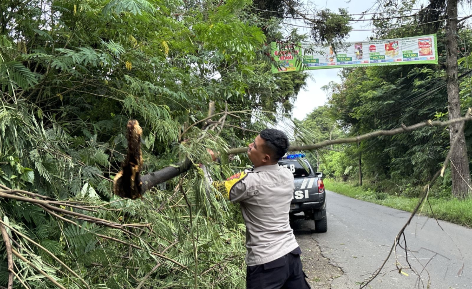 Pohon Tumbang di Jalan Raya Pasirwangi Garut, Polisi Lakukan Tindakan Cepat  